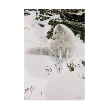 Ron Parker 'Blue Shadows Arctic Fox' Canvas Art,12x19